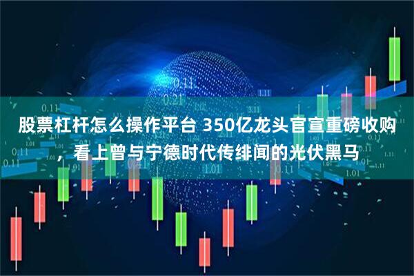 股票杠杆怎么操作平台 350亿龙头官宣重磅收购，看上曾与宁德时代传绯闻的光伏黑马