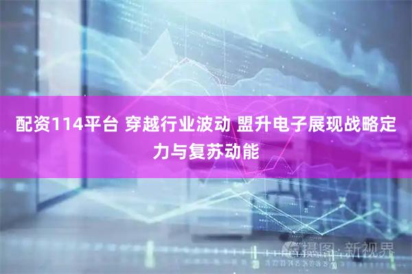 配资114平台 穿越行业波动 盟升电子展现战略定力与复苏动能