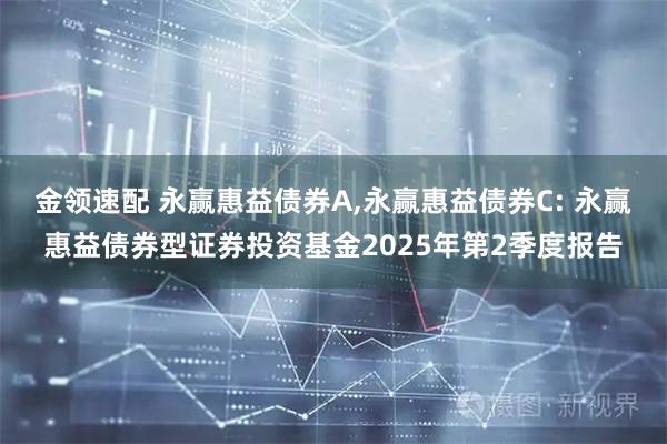 金领速配 永赢惠益债券A,永赢惠益债券C: 永赢惠益债券型证券投资基金2025年第2季度报告