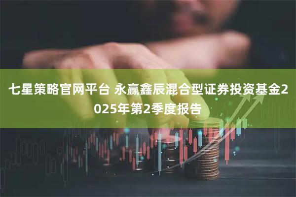 七星策略官网平台 永赢鑫辰混合型证券投资基金2025年第2季度报告