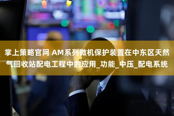 掌上策略官网 AM系列微机保护装置在中东区天然气回收站配电工程中的应用_功能_中压_配电系统